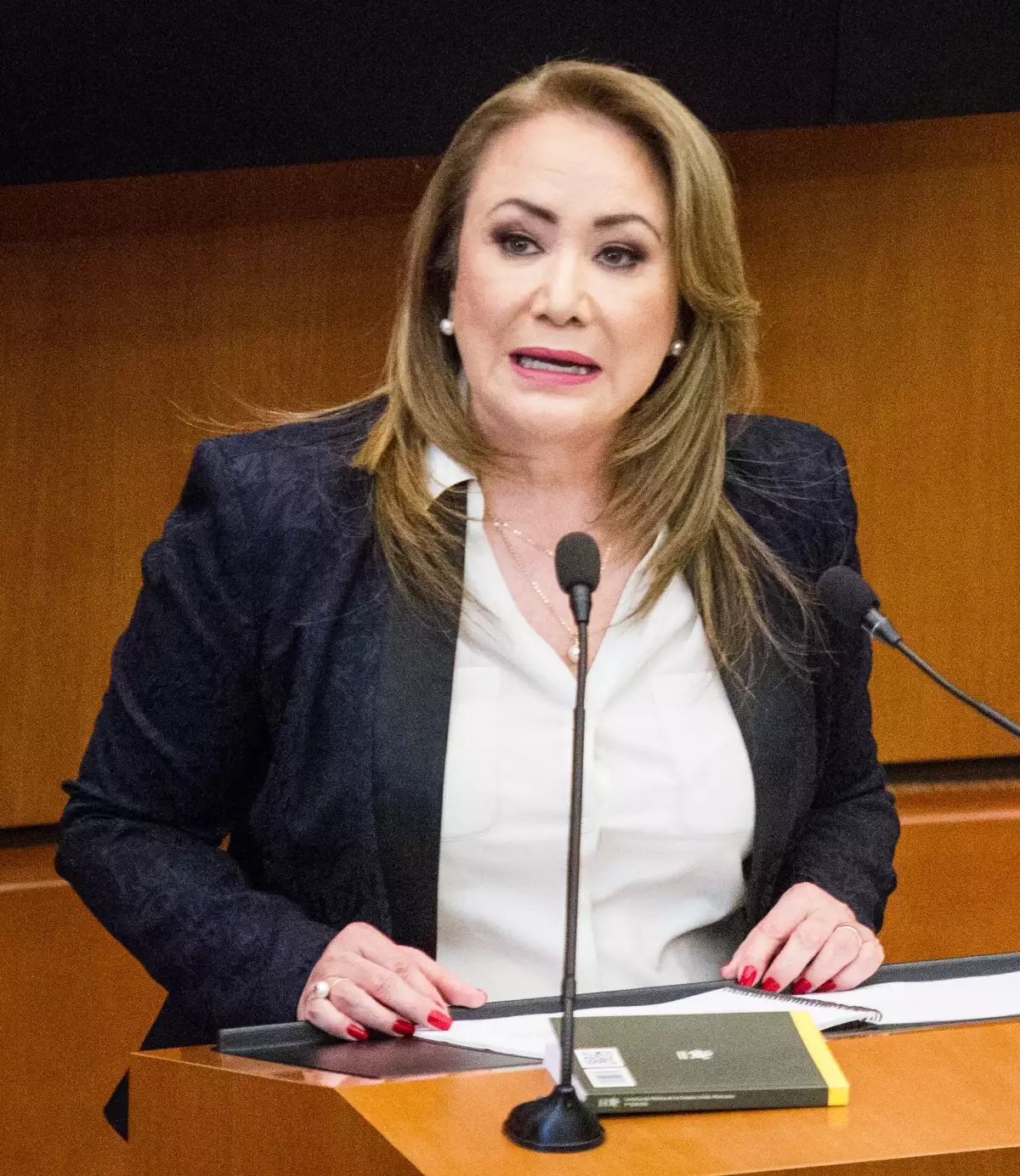 Yasmín Esquivel