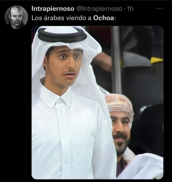 The memes of Memo Ochoa "saving" Mexico vs. Poland IMG_0183.jpg