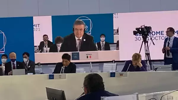 Ebrard en el G-20.jpeg