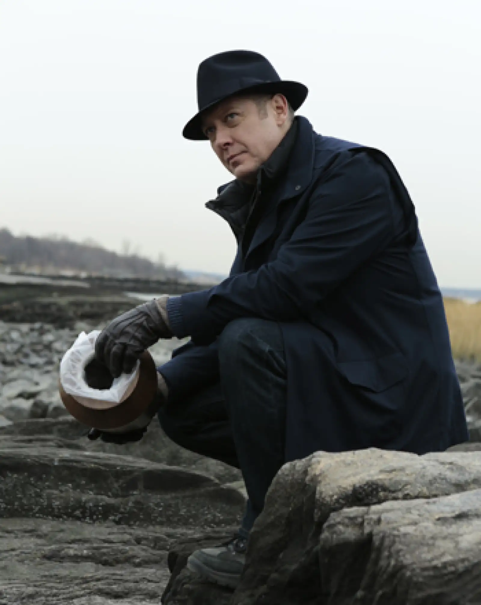 James Spader