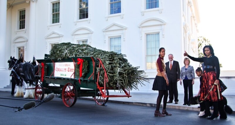 El Estado que este año se encargó de suministrar el árbol navideño a la familia Obama fue Carolina del Norte.