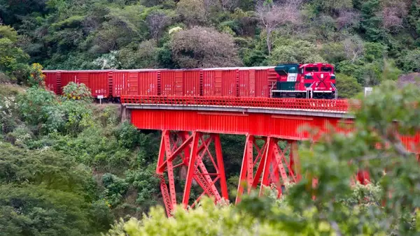 Ferrosur Grupo México