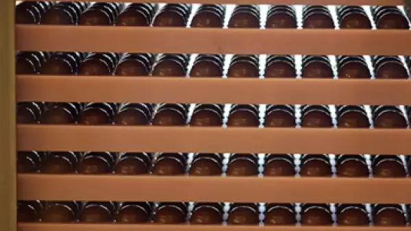 Los chocolates y dulces de Grupo Ferrero se distribuyen en más de 100 países. (Foto: AP)