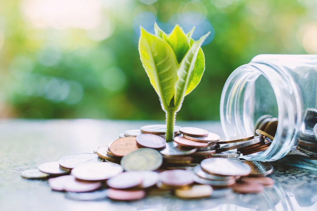 Empresas sustentables