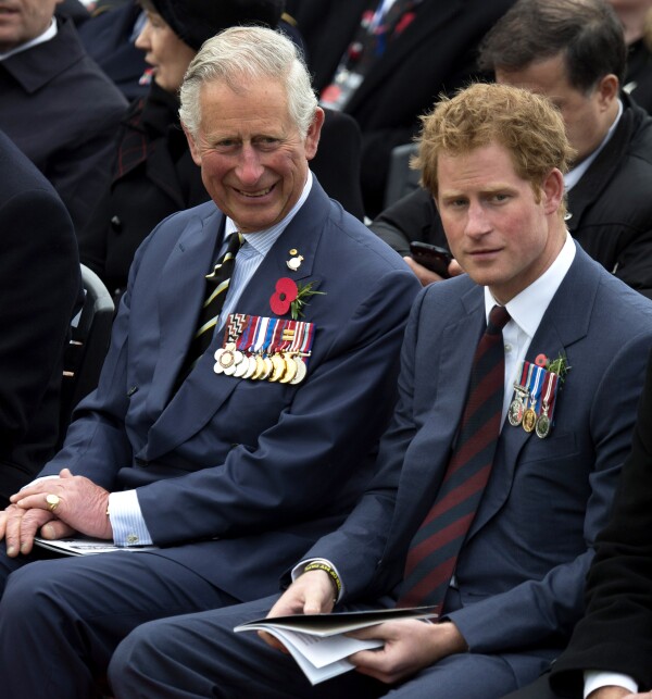 Carlos y Harry priíncipes