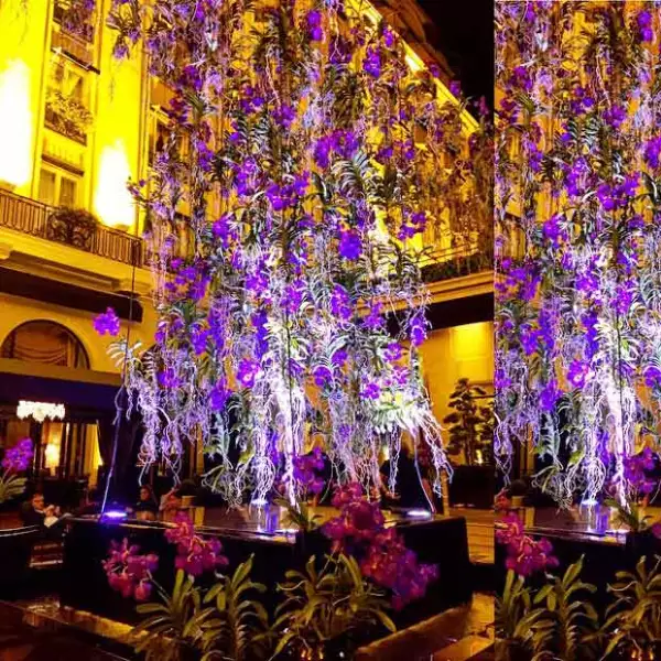 Una romántica cena en un bello lugar fue lo que cerró con broche de oro el festejo a Tommy.