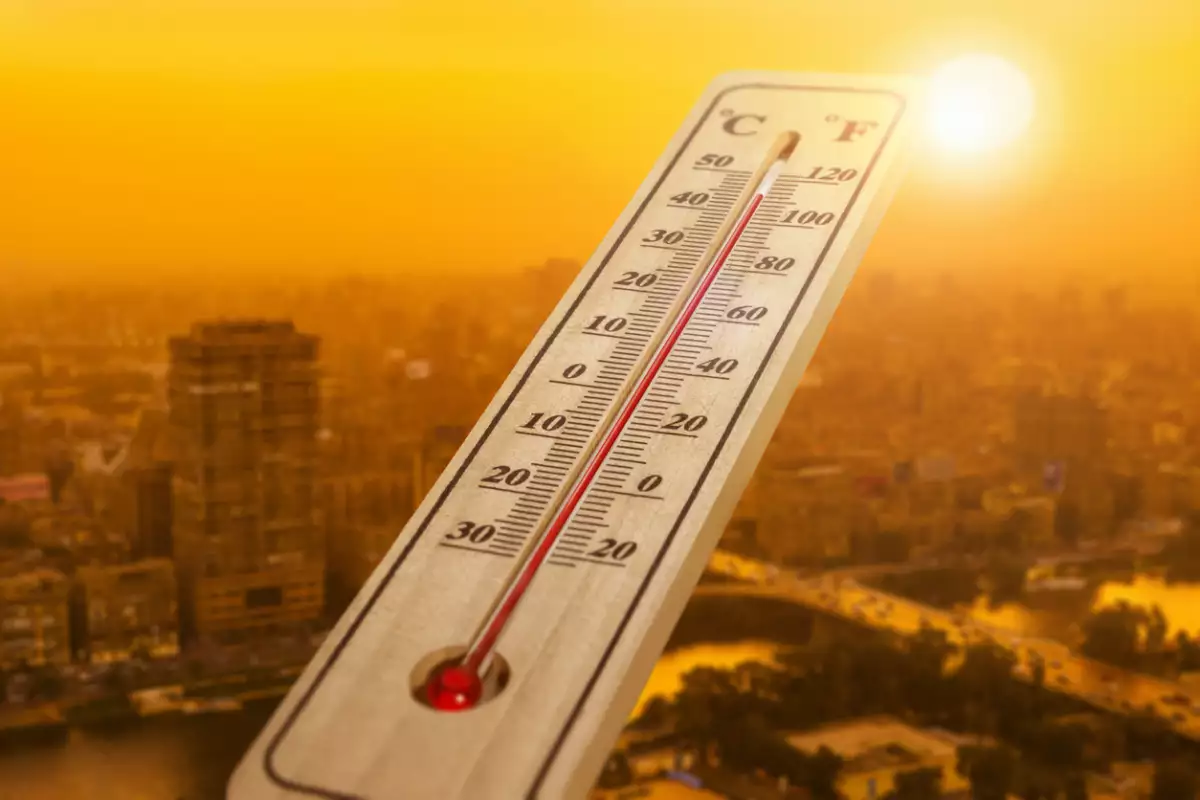Wood thermometer