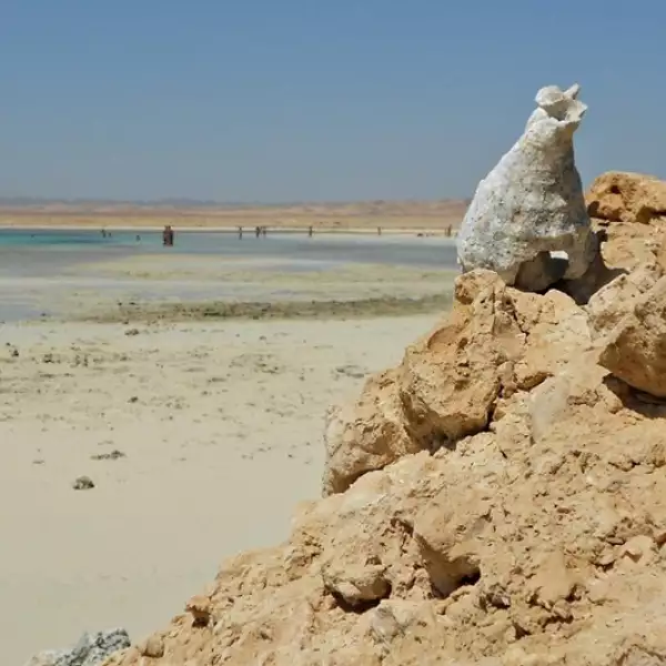 playa  egipto