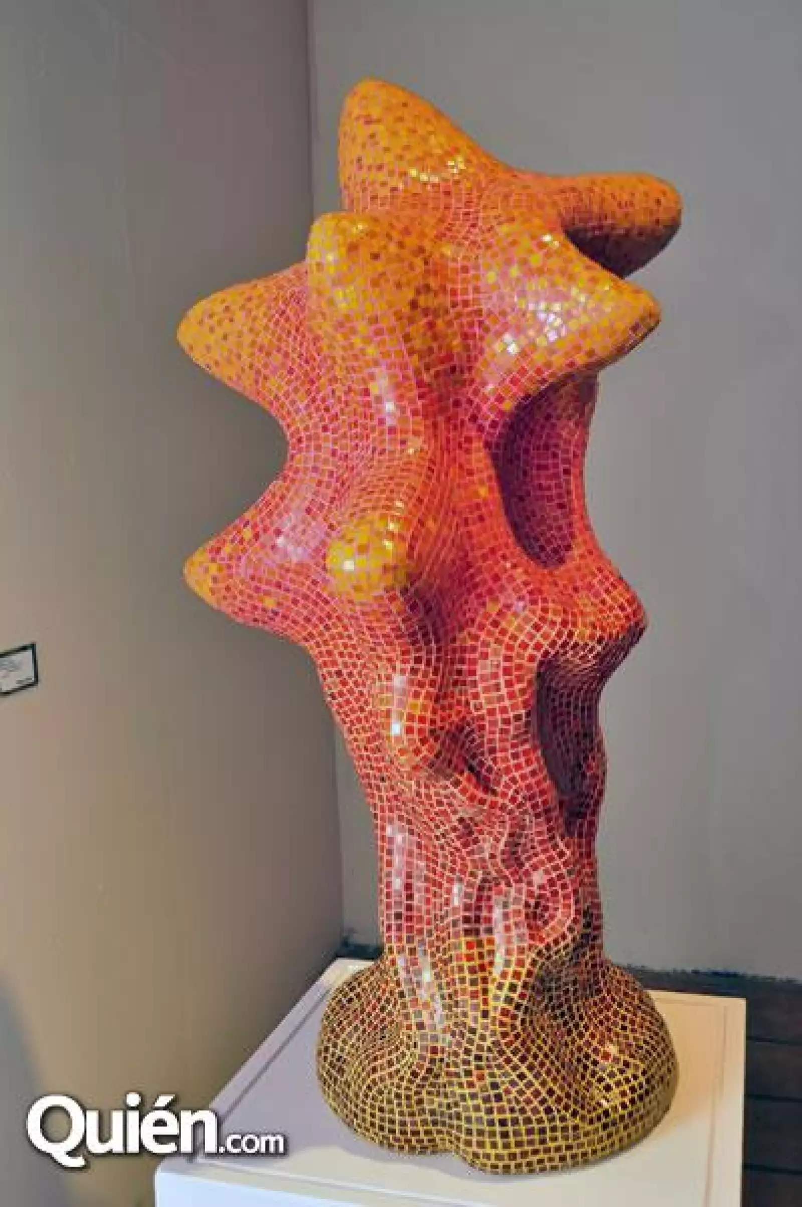 Exposición Piedra Cometa de David Gerstein