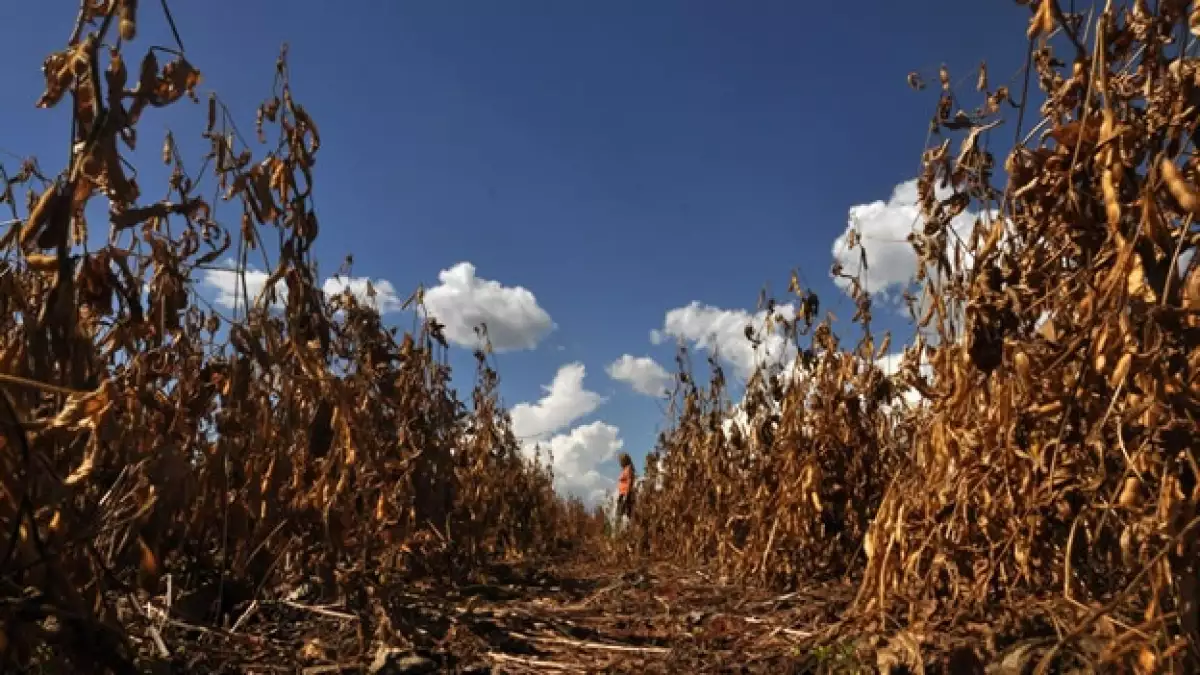 sequia agricultura cambio climático