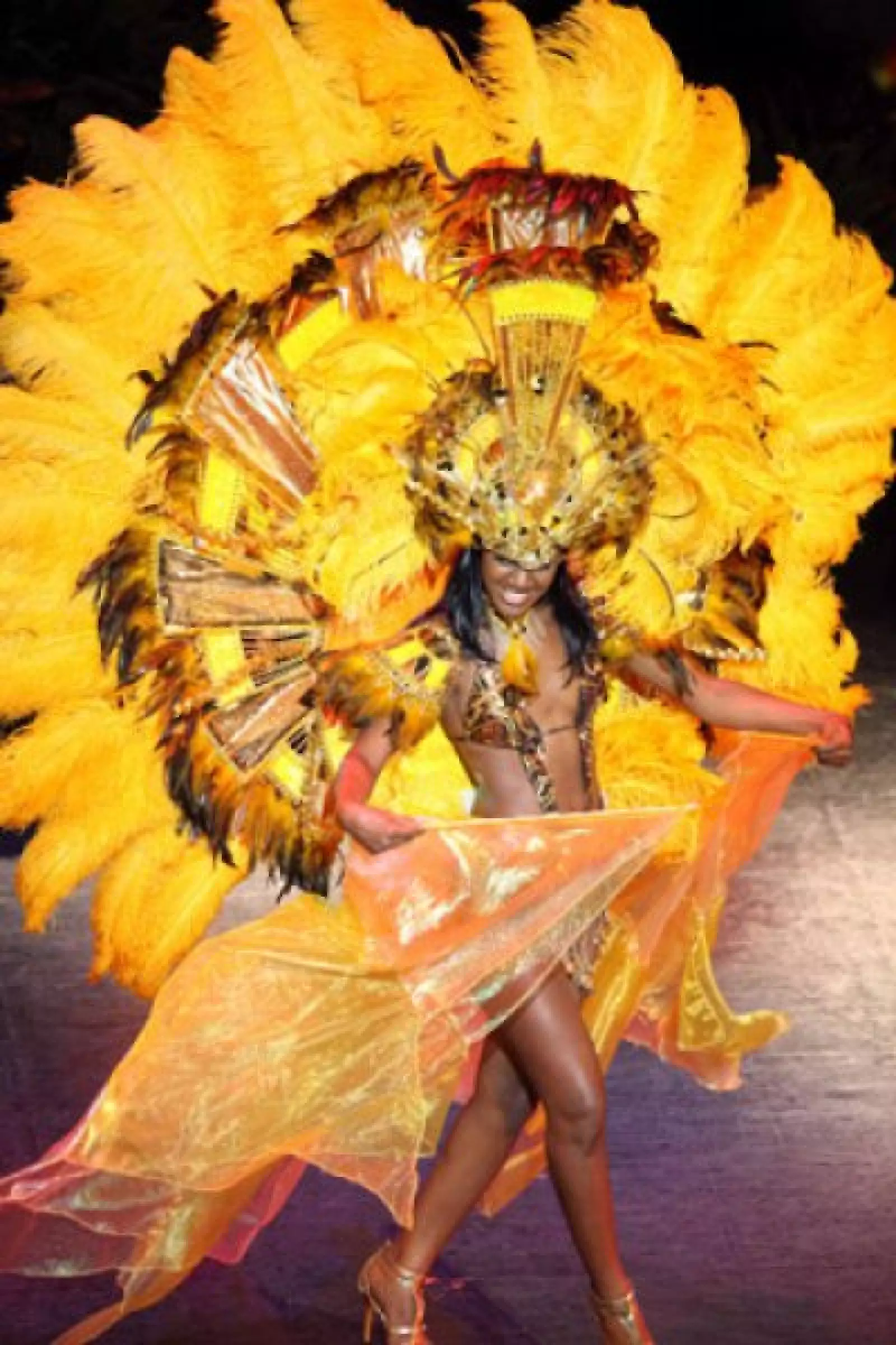 El traje de Kiara Sherman, de Bahamas, fue uno de los más espectaculares por su diseño y color.