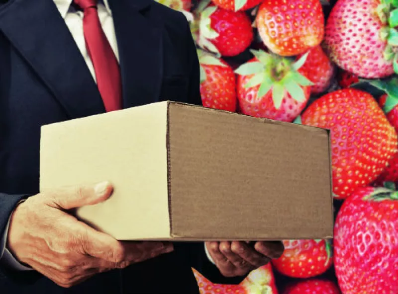 exportaciones de fresas