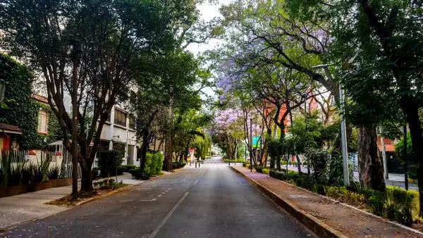 Mexico City landscapes