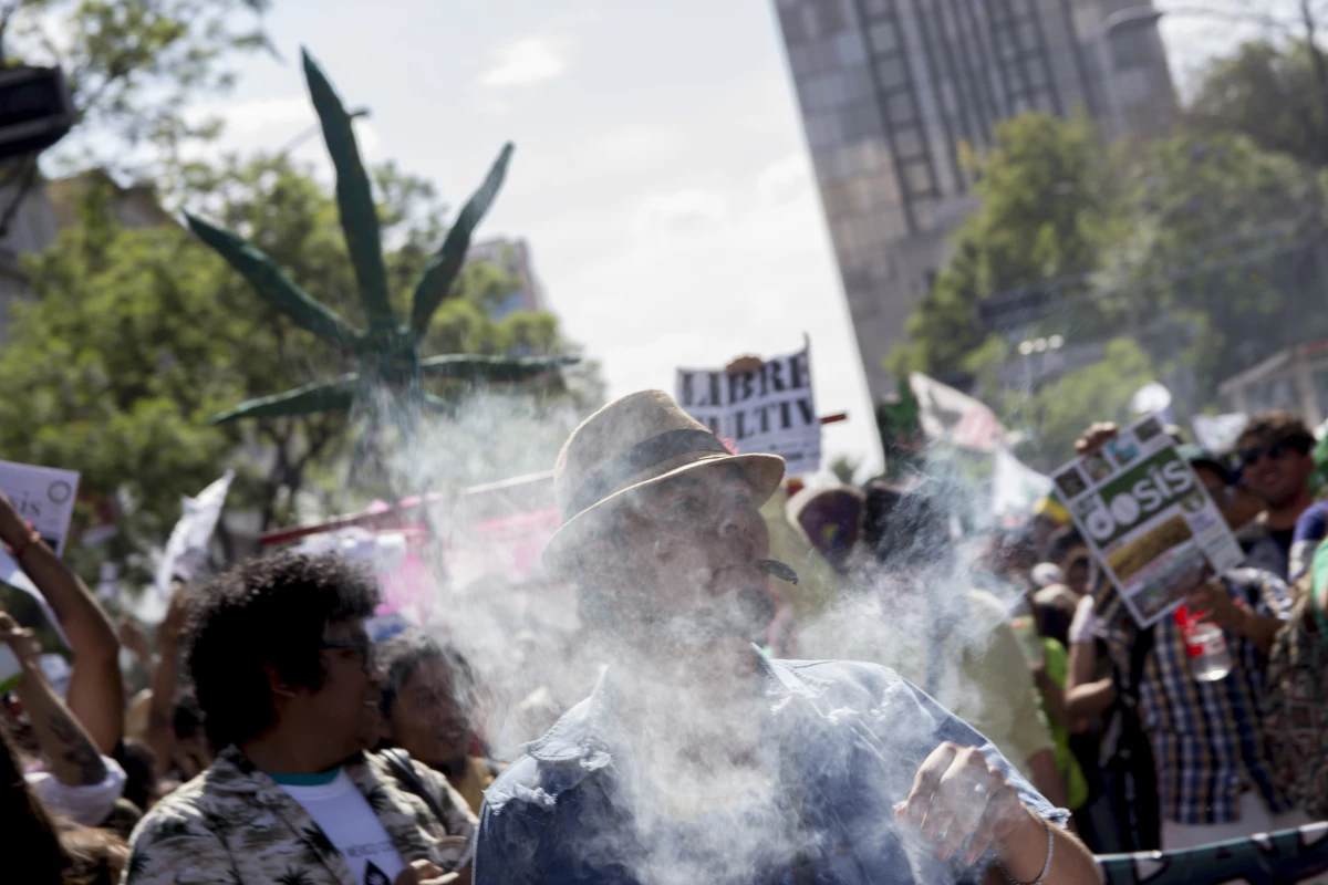 Marihuana