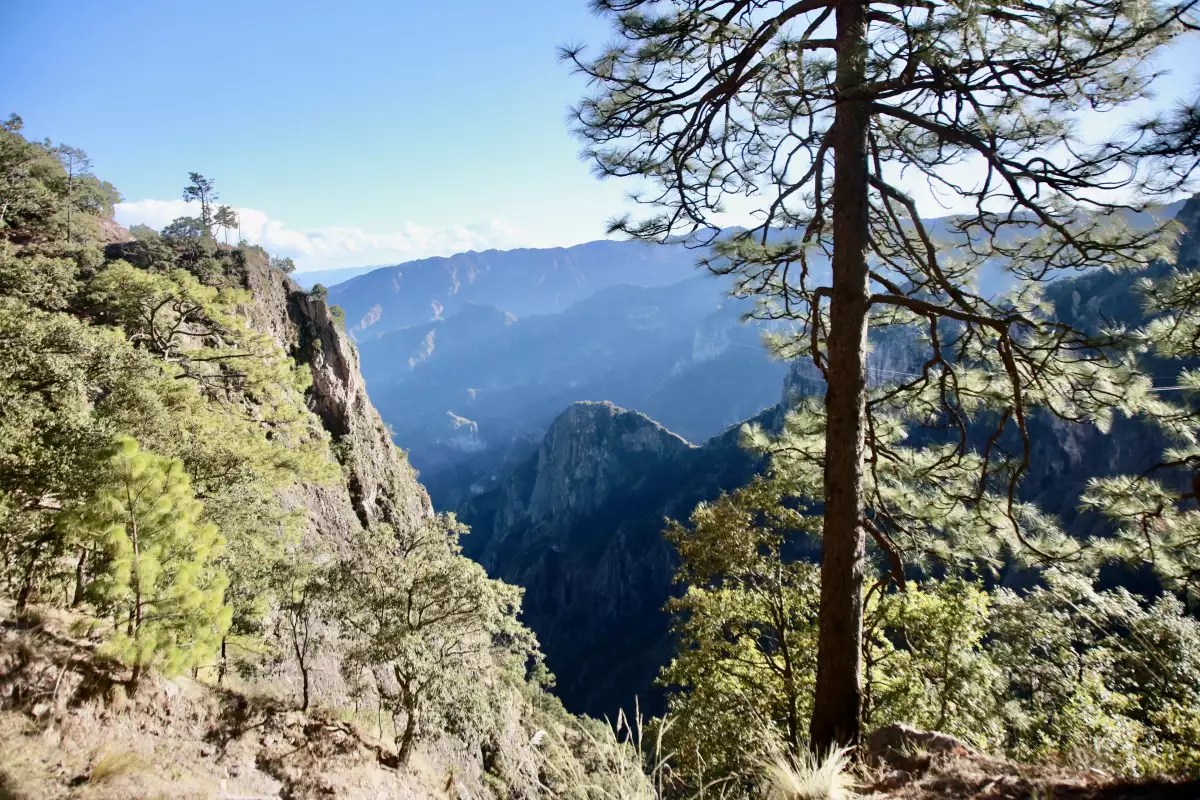 Barranca de Urique, desde el Cerro del Gallego