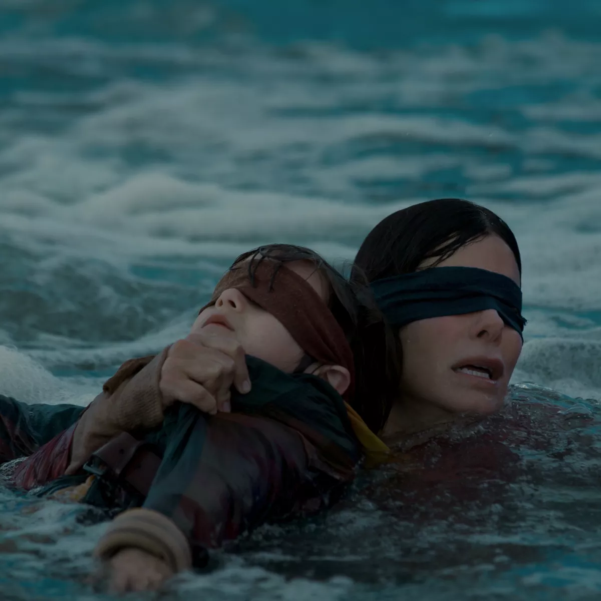 BIRDbox.jpg