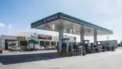 Gasolinas