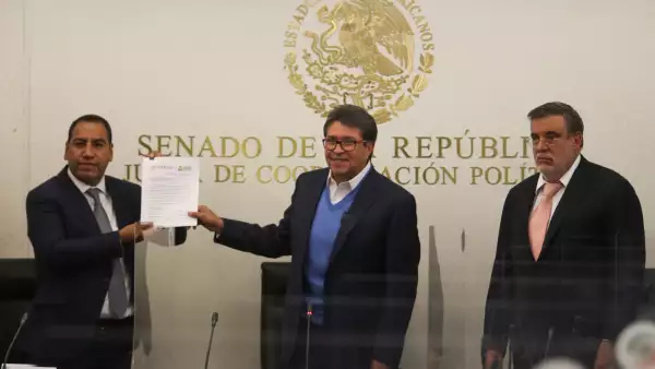 petición consulta amlo