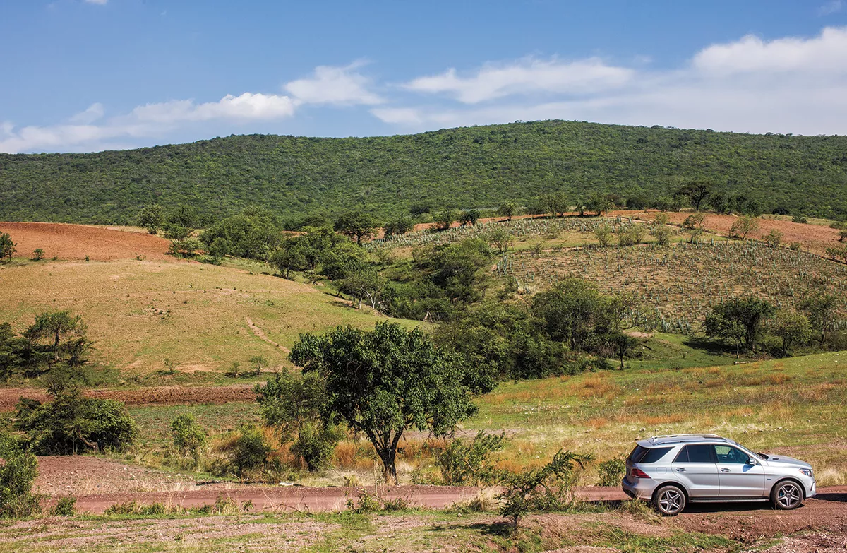Mercedes-Benz GLE 500e plug-in hybrid