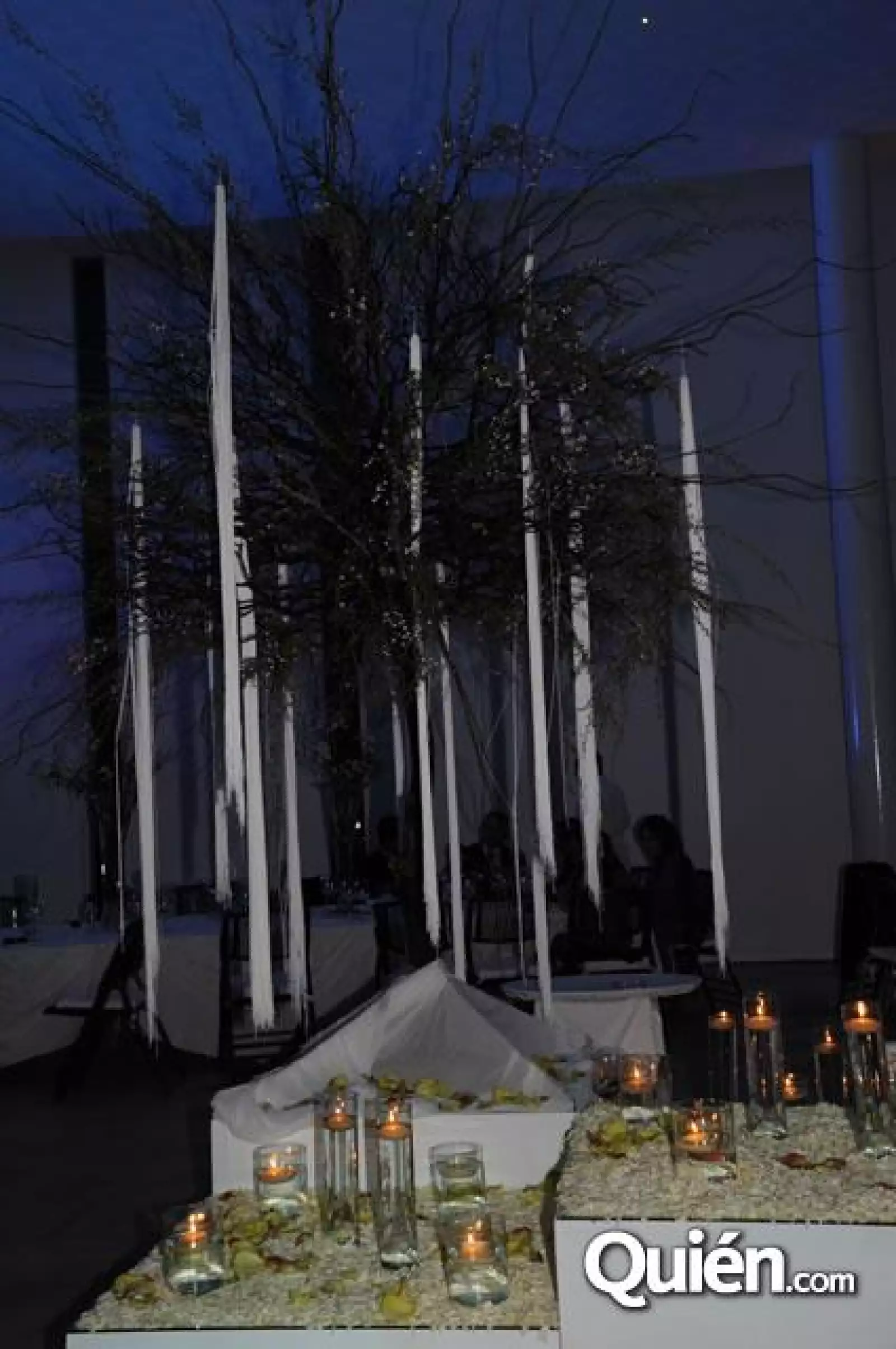 Boda Paola Villarreal, Arturo Puigferra