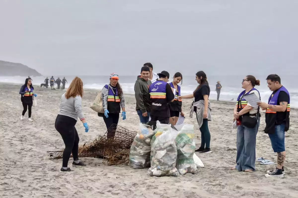 Limpieza de Playas 