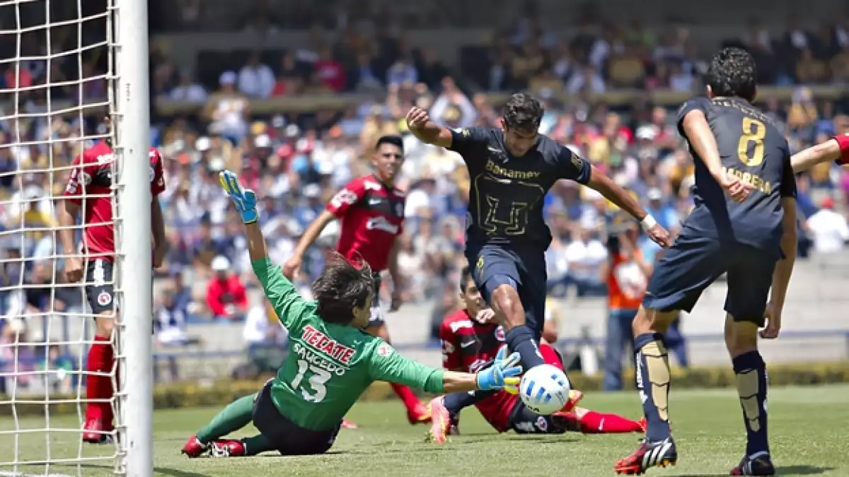 Eduardo Herrera bate al portero Cirilo Saucedo de Xolos para marcar el gol de los Pumas este domingo