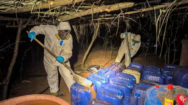 laboratorios-clandestinos