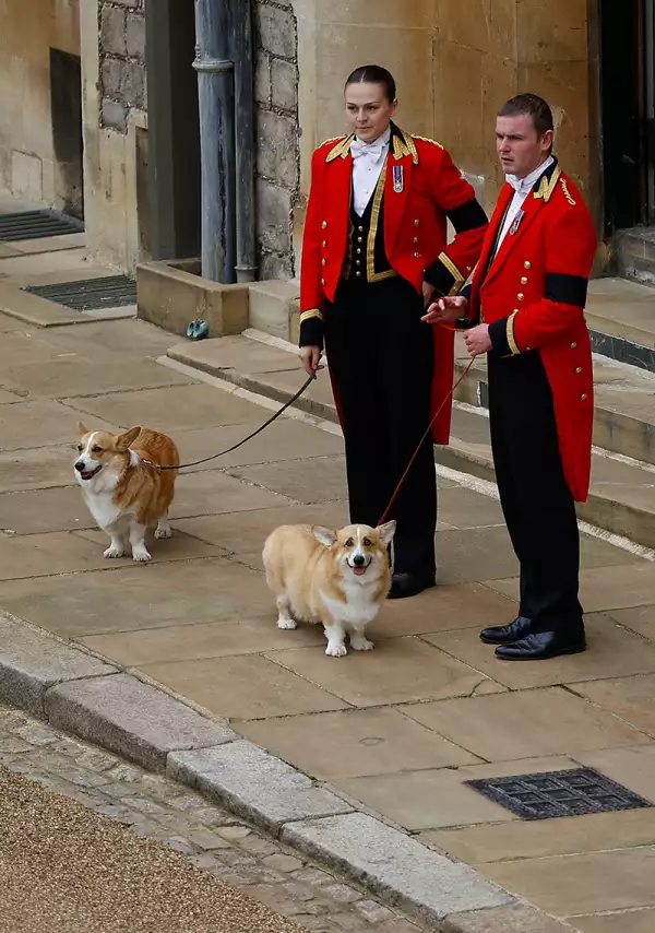 Sarah Ferguson quedó a cargo de los corgis de la reina Isabel II
