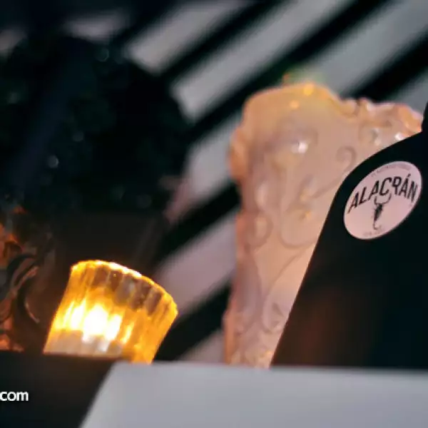 Tequila Alacrán en el Mr. Mostaza