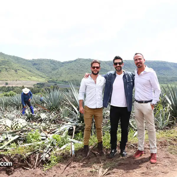 Diego Oseguera,José María Yazpik y Felipe Colsa