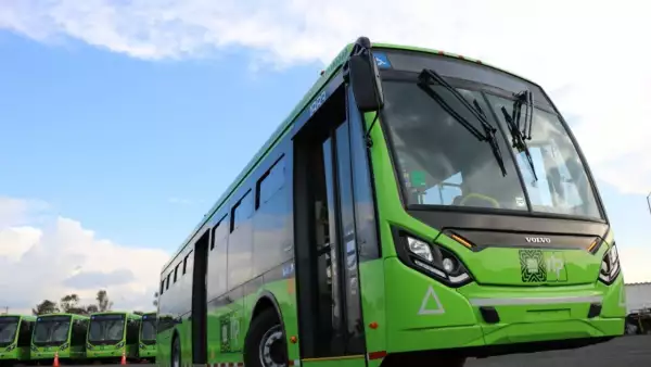 Autobuses RTP
