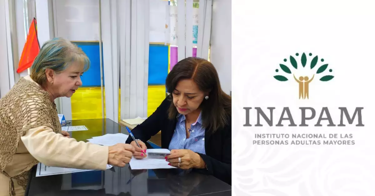 ¿En qué casos se tiene que renovar la credencial del Inapam? Requisitos para tramitar la tarjeta