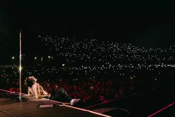 hary styles