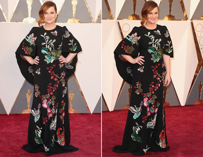 Amy Poehler no acertó en su elección de vestido.