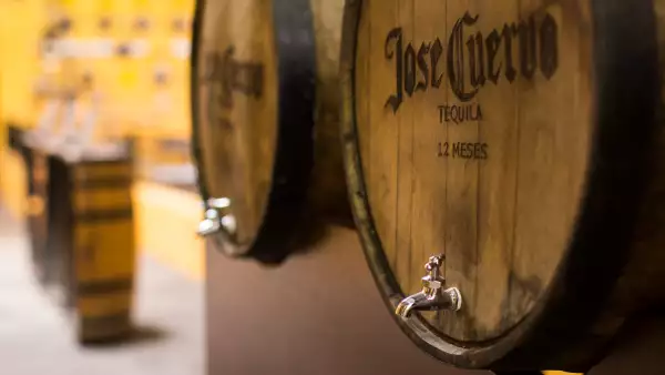 Cuervo alcanza buenos números.
