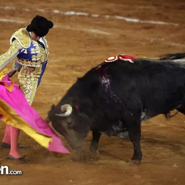 Matador José Mauricio