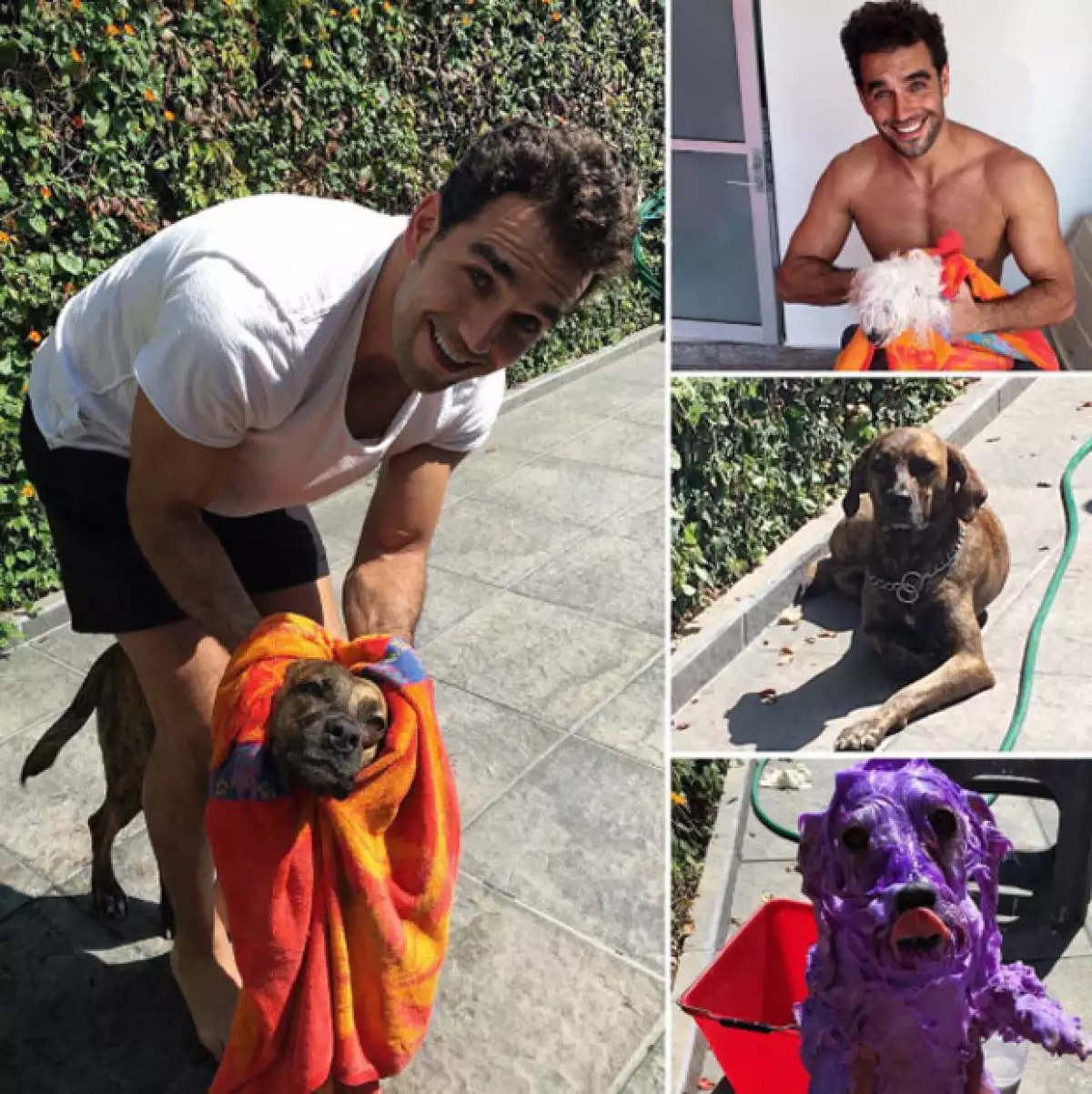 Marcus Ornellas con sus mascotas.