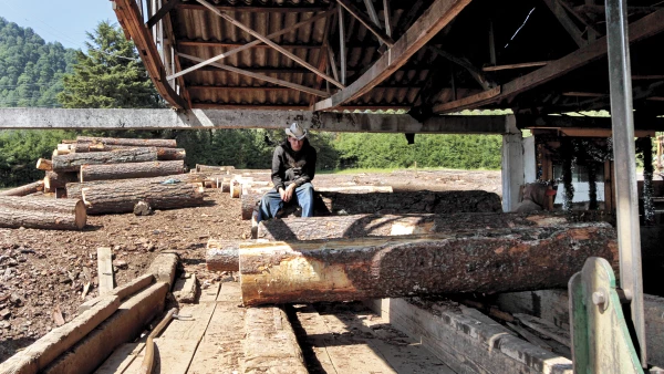 Recuperar los bosques para vivir
