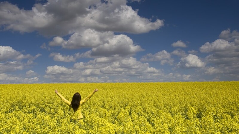 una mujer feliz brinca en el campo