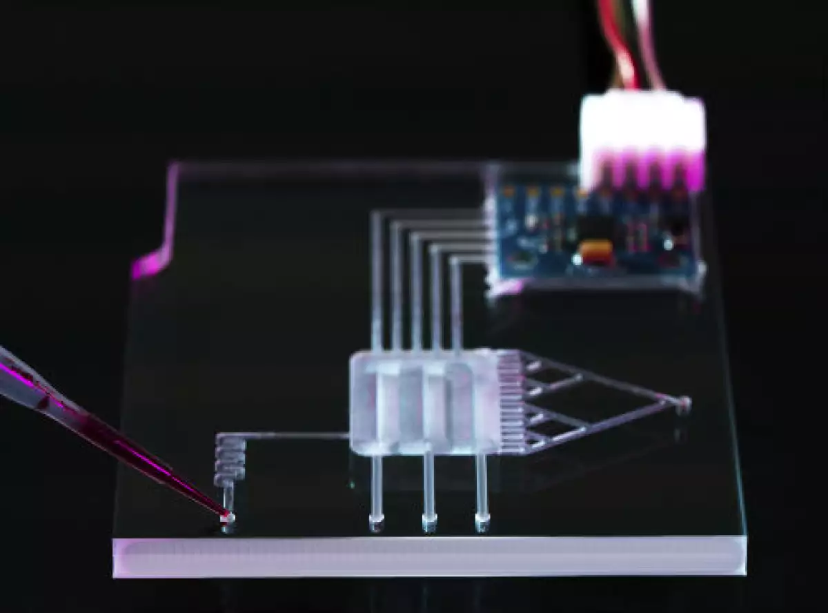 tecnolog�a de chips