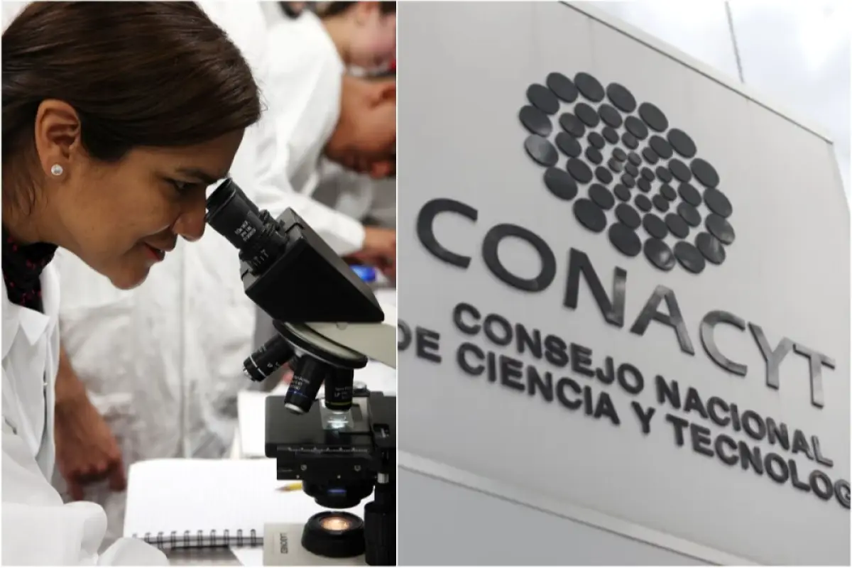 conahcyt-becas-2024.png