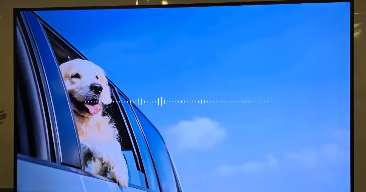 Bebeklere ve televizyon evcil hayvanlarına bakmaya yardımcı olan Samsung teknolojisi