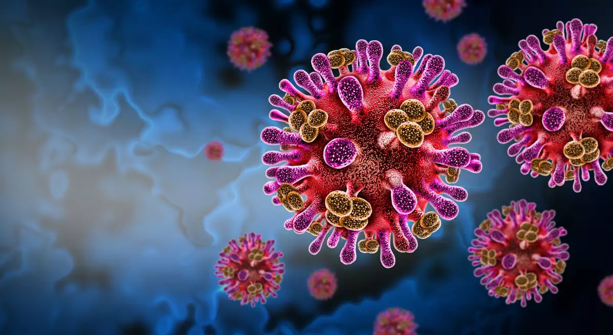 Brote de la enfermedad por el virus Nipah como patógeno zoonótico transmitido a los humanos por animales salvajes y domésticos.