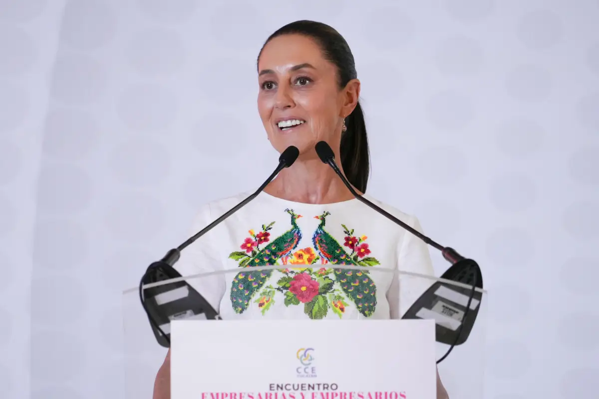 Shienbaum-Yucatán.jpeg