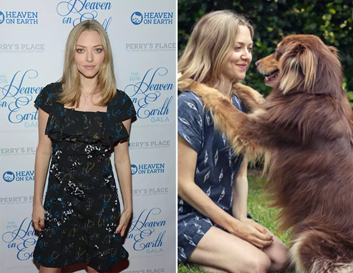 Amanda Seyfried