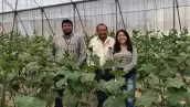 La startup mexicana desarrolló Don Asesor, una plataforma que busca llevar el conocimiento de agrónomos certificados a pequeños y medianos productores mediante inteligencia artificial.