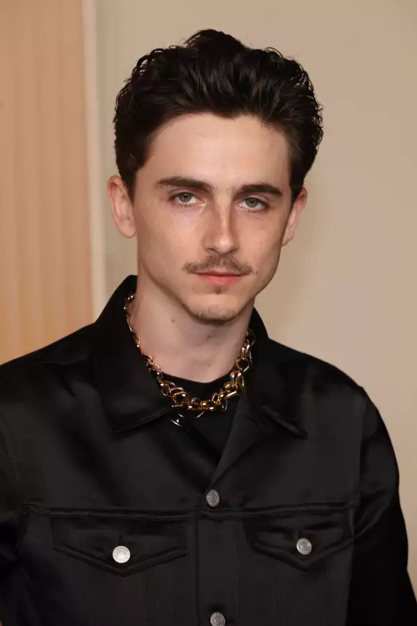 timothee chalamet gap