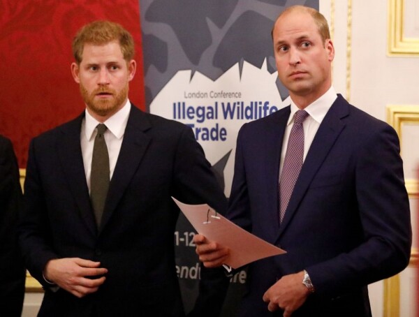 Príncipe Harry y el príncipe William
