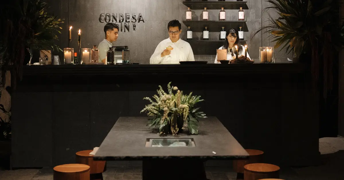 Condesa Gin 