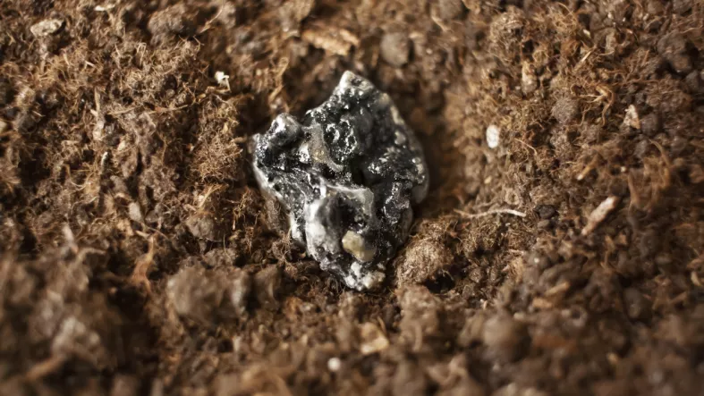 No todo es Groenlandia: los países que dominan las tierras raras en el mundo y por qué importan